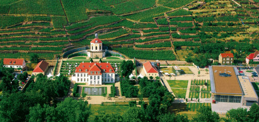 Schloss Wackerbarth - Radebeul 