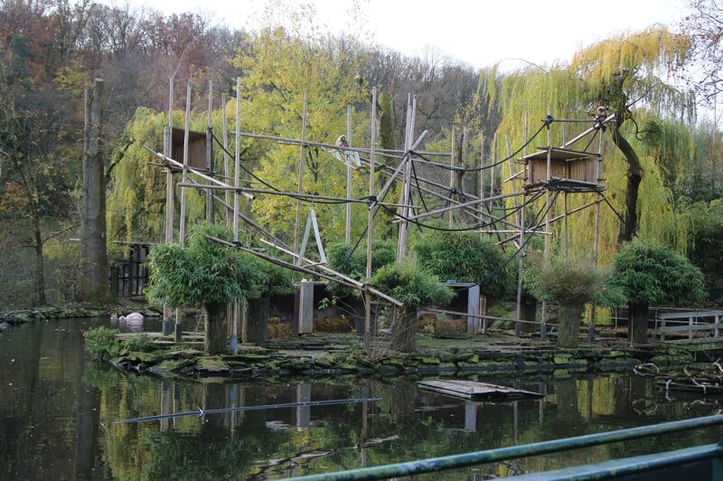 Gibbon Anlage Opel Zoo