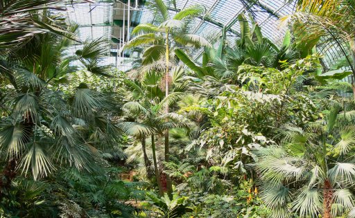 Palmenhaus im Palmengarten Frankfurt