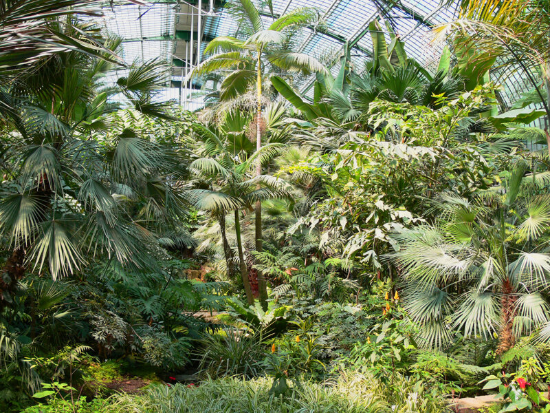 Palmenhaus im Palmengarten Frankfurt