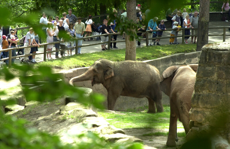 Tiergarten Nürnberg – einer der ältesten Zoos Deutschlands in der Stadtumgebung