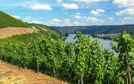 Urlaub in Boppard