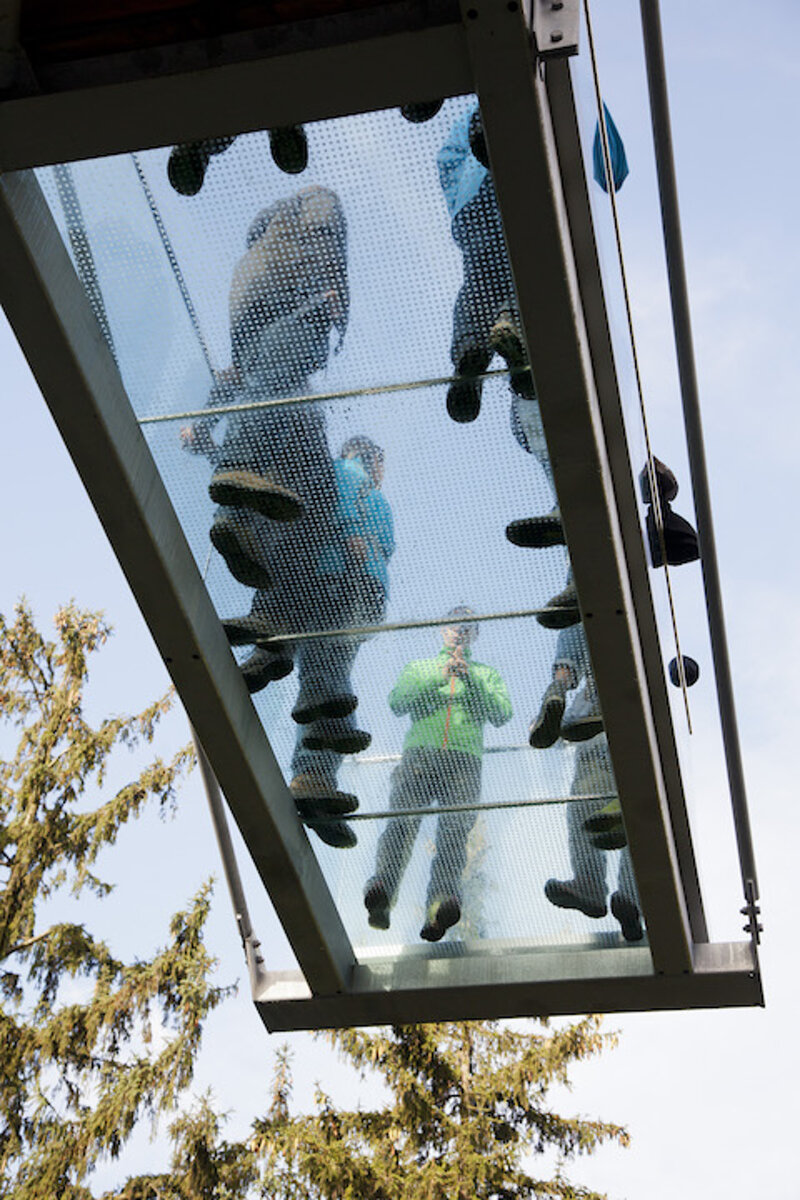 Glassteg auf dem Baumwipfelpfad Bad Harzburg