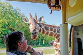 05-Serengeti-Safari (VIP-Jeep-Tour)