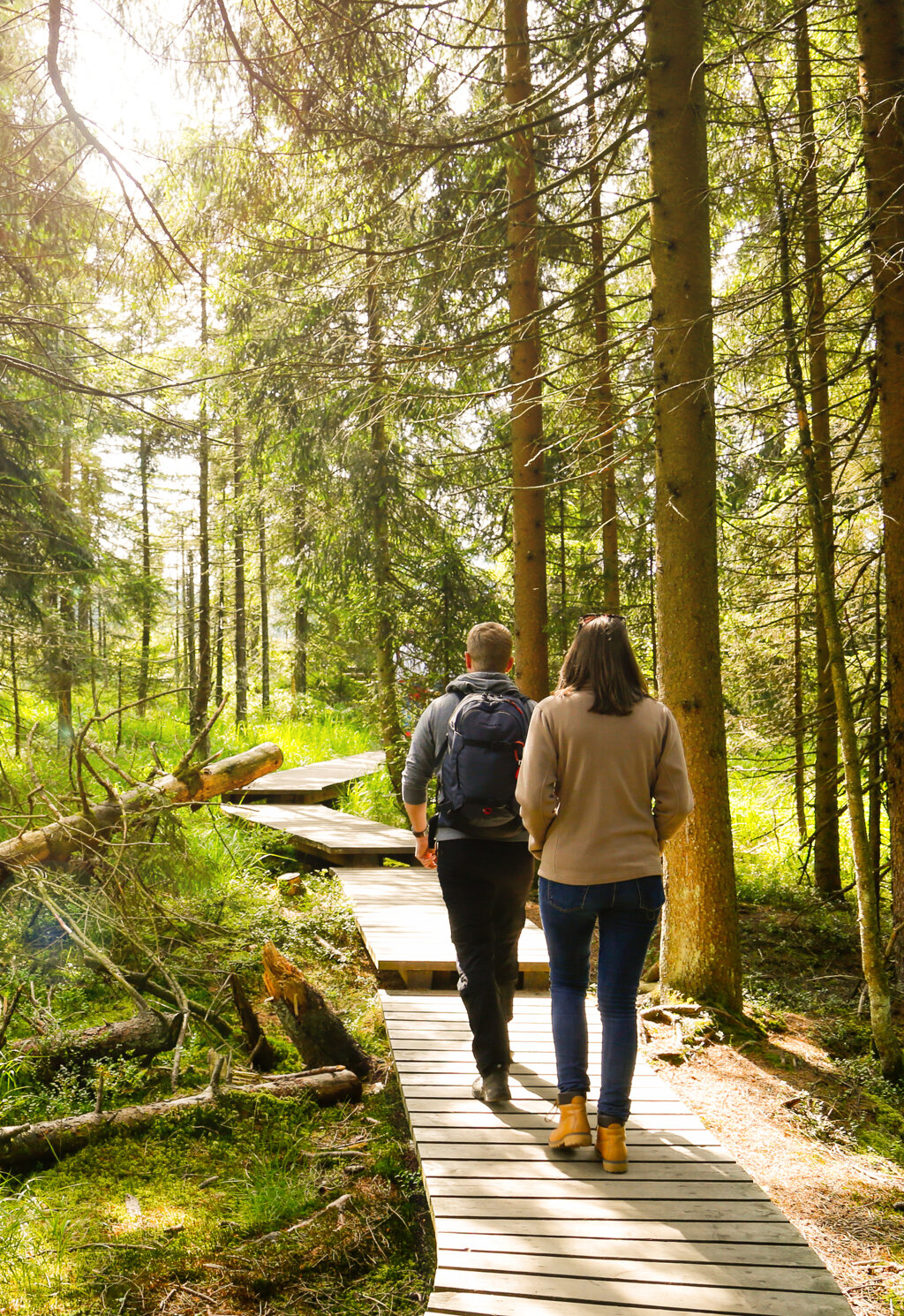 Harz