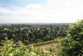 Ausblick vom Neroberg c Wiesbaden Marketing GmbH