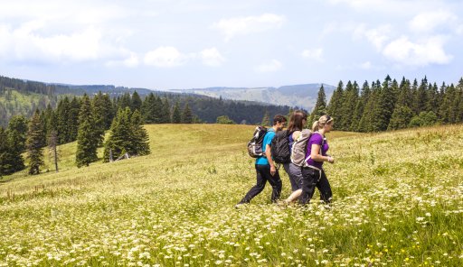 Westweg (Schwarzwald)