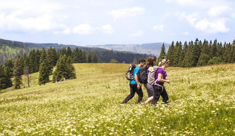 Wanderer am Feldberg
