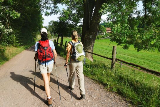 Wanderinnen Rennsteig