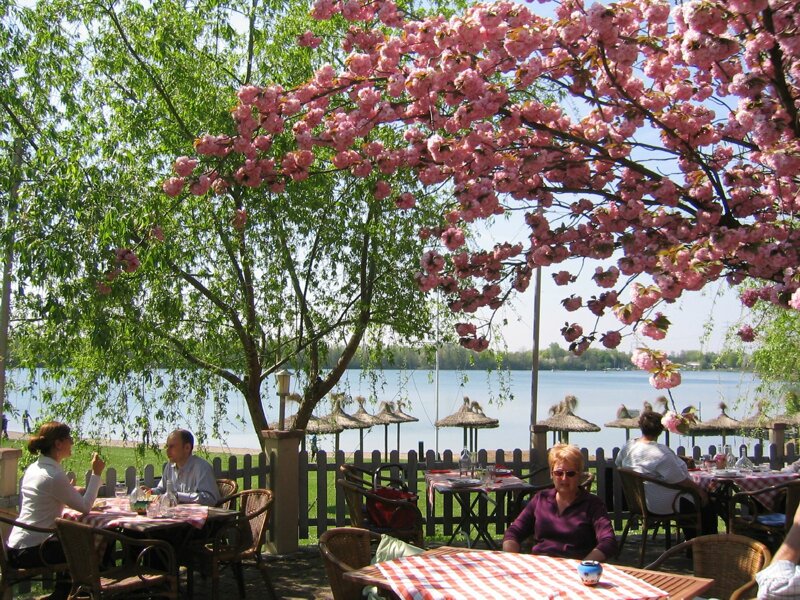 Blick auf dem Waidsee bei Weinheim