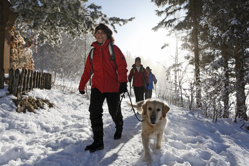 Wanderung im Winter im Schwarzwald