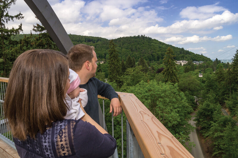 Baumkronen auf dem Baumwipfelpfad Neuschönau im Bayerischen Wald
