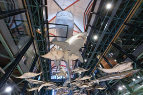 MEERESMUSEUM Installation mit Haien und Rochen Foto Anke Neumeister DMM