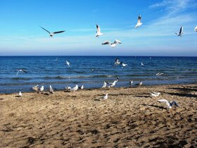 Am Strand, Boltenhagen ohne c pixabay