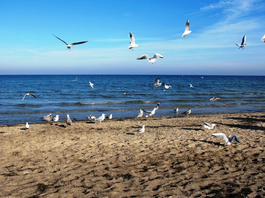Am Strand, Boltenhagen ohne c pixabay