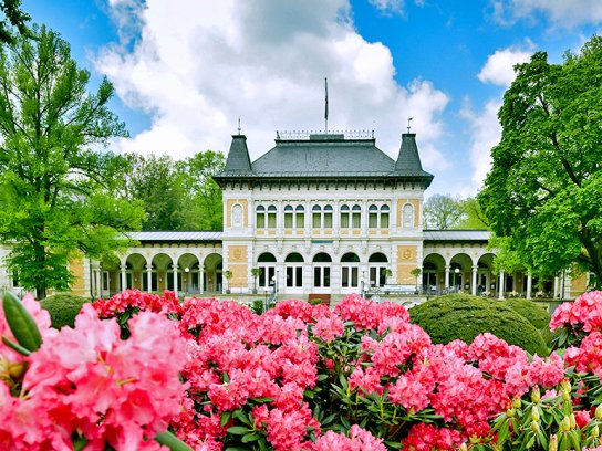 SSB-Königliches Kurhaus Bad Elster mit Rhododendren, Foto C.Gonz