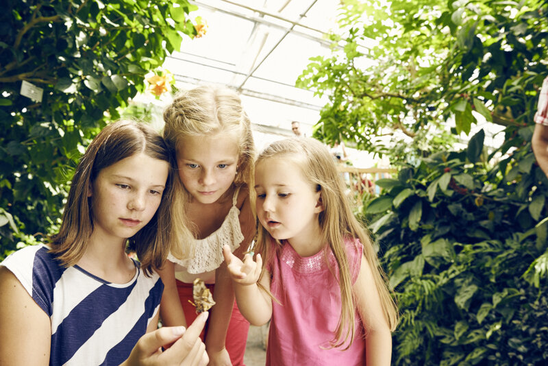 Kinder im Schmetterlingshaus