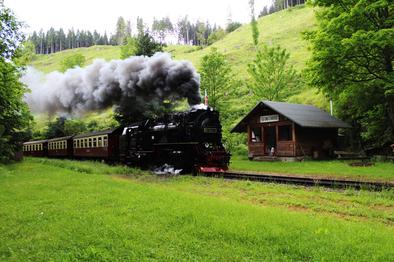 Dampflok-Andre-Richter