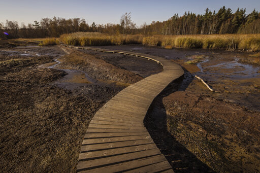 Naturschutzgebiet SOOS - Westböhmen (Tschechien)