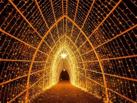 Christmas Garden 11