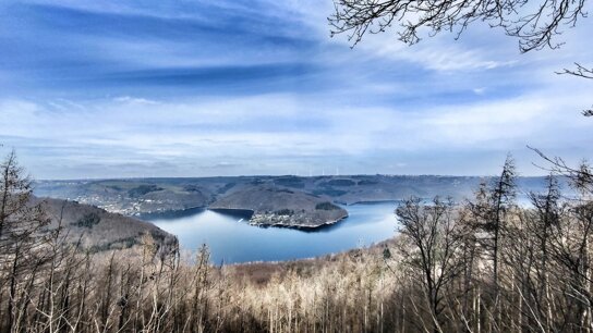 Nationalpark Eifel Winter