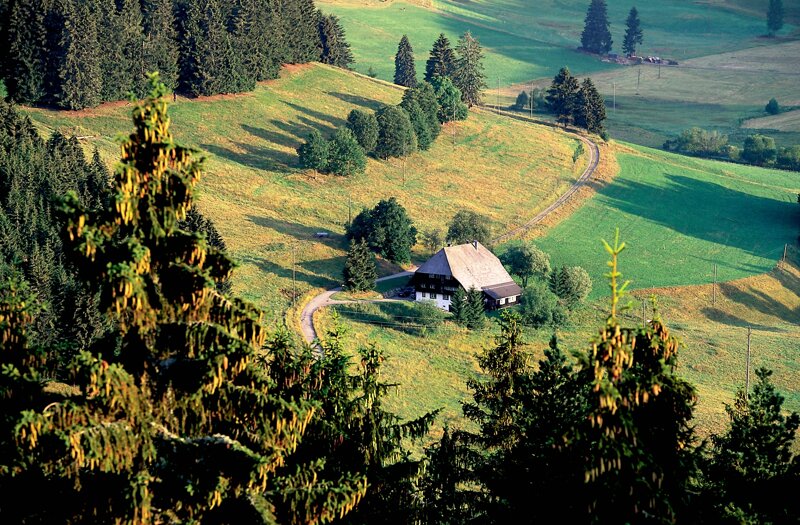 Bauernhaus auf Wiese