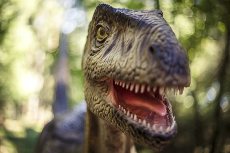 Dino im Dinosaurier Museum Altmühltal