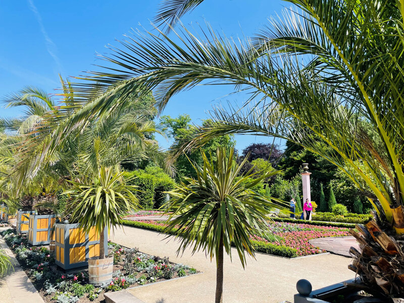 Kurpark Bad Pyrmont im Weserbergland Palmengarten