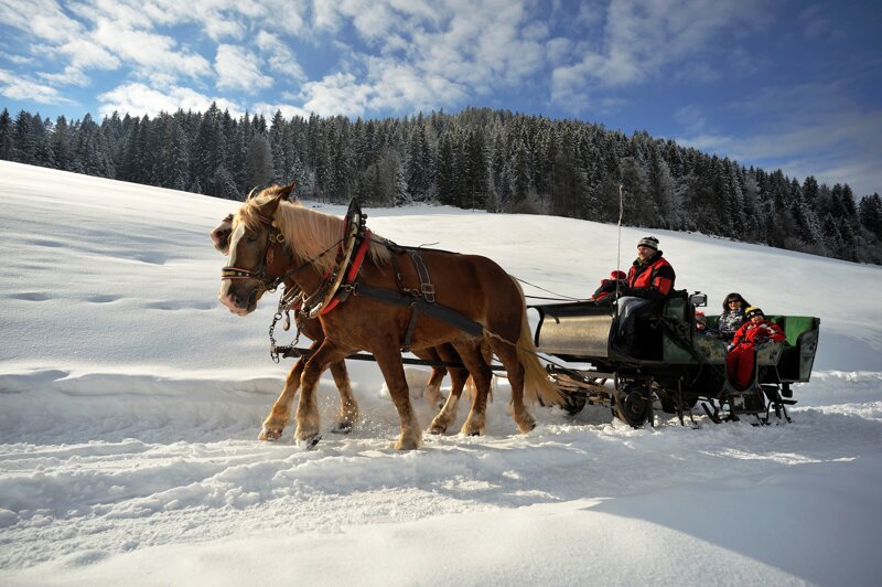 Romantische Pferdeschlittenfahrt am Penningberg bei Hopfgarten