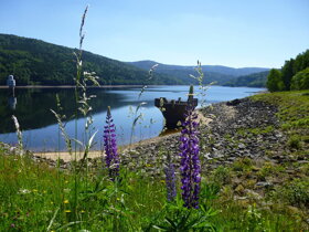 trinkwassertalsperre frauenau bayerischer wald c pixabay