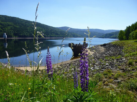 Blick auf die Talsperre Frauenau