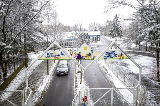 mit-dem-auto-durch-den-wild-und-erlebnispark-daun