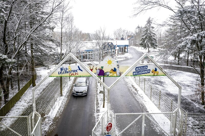 Mit dem Auto durch den Wild- und Erlebnispark Daun
