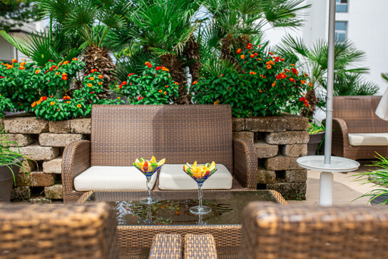 PARK HOTEL - 028 - PALM TERRACE