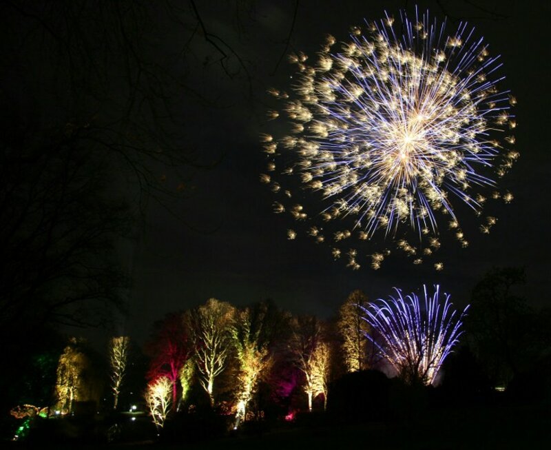 Feuerwerk über dem Westfalenpark Dortmund