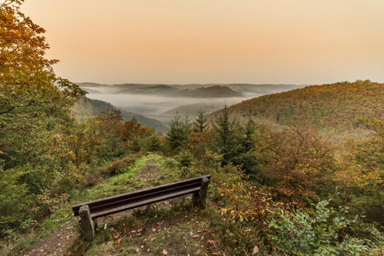 Landschaft Aussicht Wiedtal 36