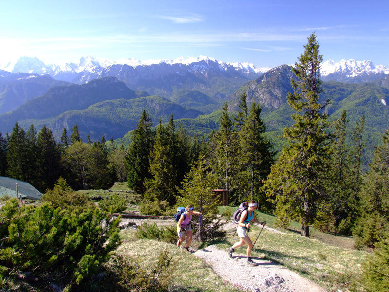 Zwiesel c Bad Reichenhall