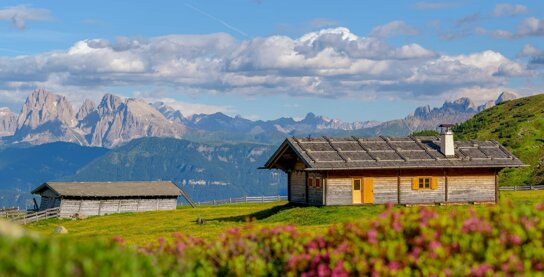 Almhütte auf Wiese mit Bergen im Hintergrund
