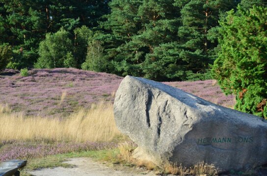 Loens-Gedenkstein in der Klein Buenstorfer Heide