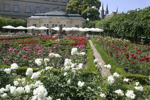 Rosengarten Neue Residenz Bamberg