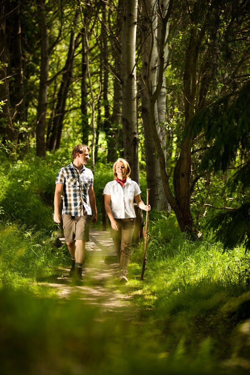 Wanderer im Nadelwald©Jens Hauspurg , Thüringer Tourismusverband Jena-Saale-Holzland e.V.