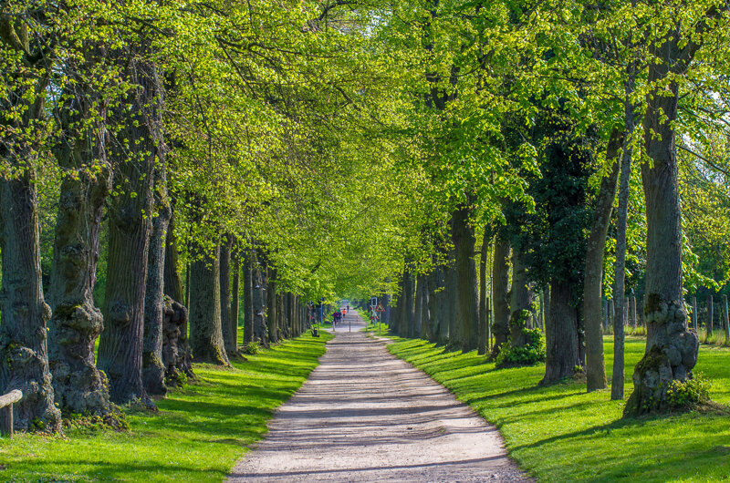 Kleine Schönbuschallee – Eingang zum Park Schönbusch Aschaffenburg