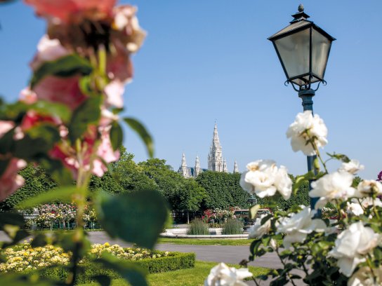 Im Volksgarten© WienTourismus Christian Stemper