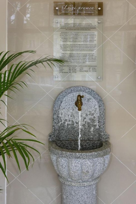 Heilwasser Josefsquelle im Svoboda