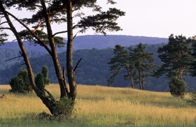 Naturpark-Altmuehltal