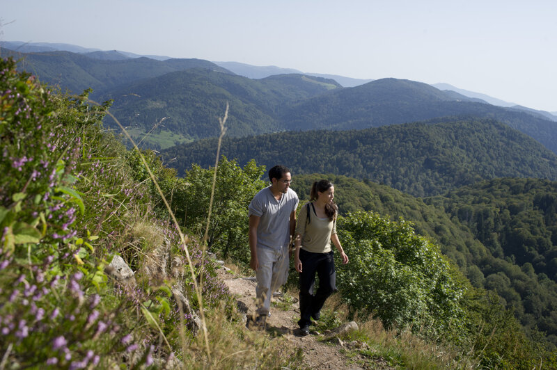 Wanderer in den Weinbergen