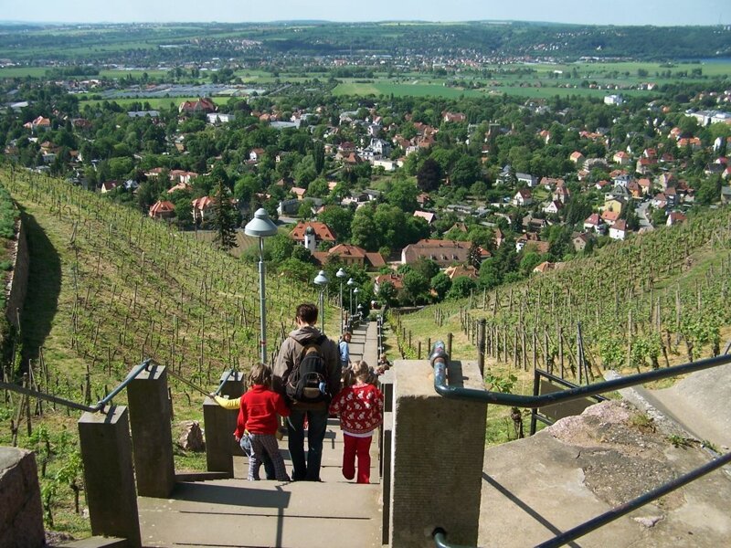 Weingut Hoflößnitz