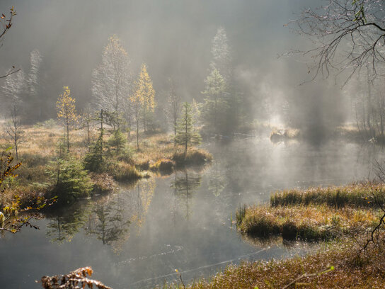 Buhlbachsee