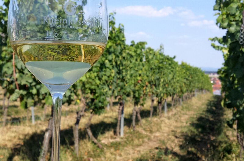 Weinglas und Weinberge in Rheinhessen