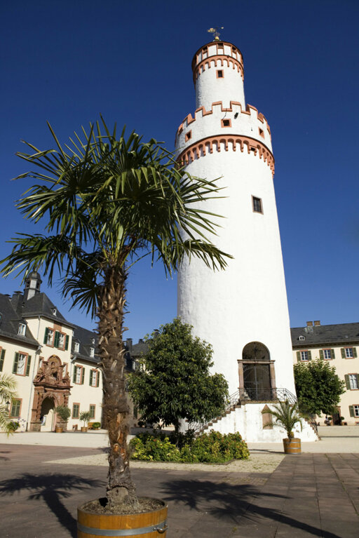 Schloss Bad Homburg – Geschichte & Besichtigung